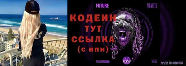 мдпв Володарск