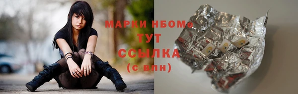 мдпв Володарск